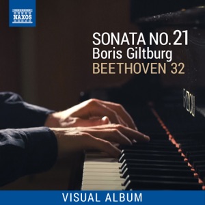 Beethoven 32: Sonata No. 21 (Visual Album)