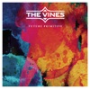 The Vines