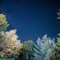 21Stars - SDiBeatz lyrics