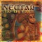 Nectar: Live Kirtan & Pagan Remixes