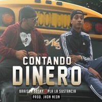Contando Dinero (feat. Pla la Sustancia) - Single - Braison Sosky