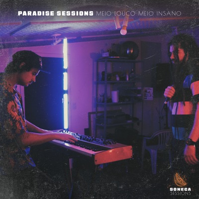 Meio Louco Meio Insano (feat. Paradise Sessions) - Single