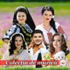 Colectia De Muzica