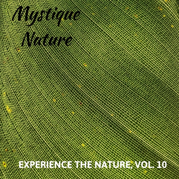 Mystique Nature - Experience the Nature, Vol. 10
