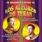 Máquina 501 - Los Alegres de Terán lyrics