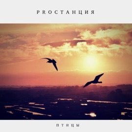 Птицы Proстанция, DIS & Младший Митяй