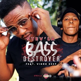 Bass Destroyer (feat. Vigro Deep) Stev'la