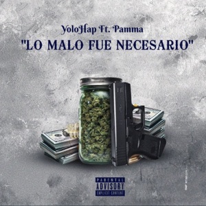 Lo Malo Fue Necesario (feat. Palma) - Single
