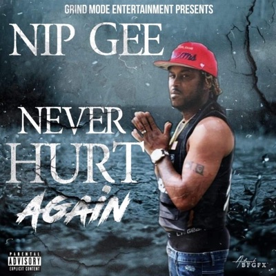 Never Hurt Again - Single