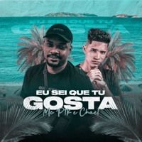 Eu Sei Que Tu Gosta - Single - MC PTK & Chael
