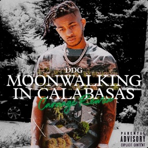 Moonwalking in Calabasas (Carnage Remix) - Single