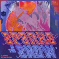 Sparks in the Snow - Single - Slodown & Bohan Phoenix