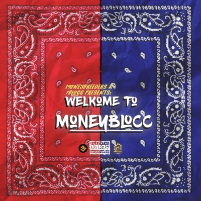 Welkome to MoneyBlocc - EP