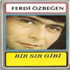 Gündüzüm Seninle - Ferdi Özbeğen