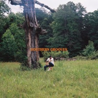 Southern Grooves - Grimm Lynn
