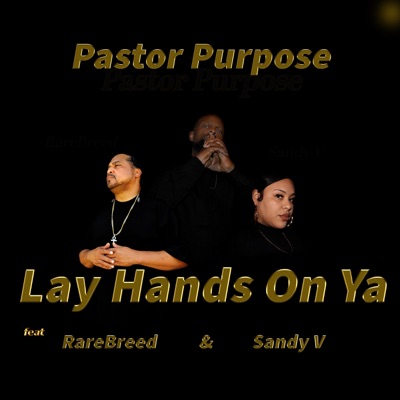 Lay Hands on Ya (feat. RareBreed & Sandy V) - Single