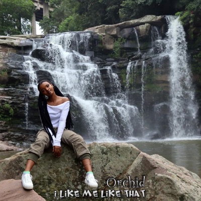 I Like Me Like That - Single