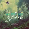 No One Like You