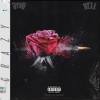 Crazy (feat. Nell) - Single - Syhg