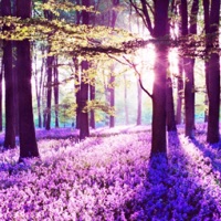 Rpg Life (feat. Blackfridvy!) - Single - PinkPerc