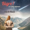 Bigre ! - L'Etoile Filante (Radio Edit)