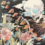 The Shins - So Now What