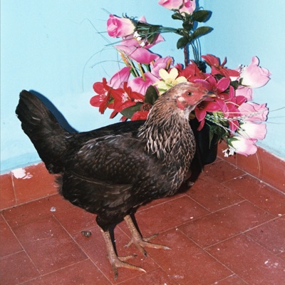 Para Cuando Vengan a Buscarme - Single