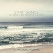 Holy Spirit You Are Welcome artwork