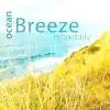 relaxdaily - N°062