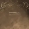 Psilocybe Project - The Right Choice (feat. Suria)