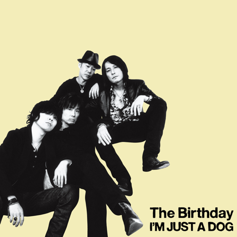 The Birthday — Apple Music