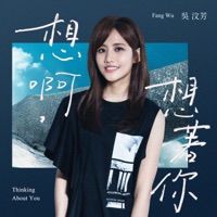 Fang Wu - Thinking About You
