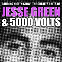 Dancing Nice 'n Slow: the Greatest Hits of Jesse Green & 5000 Volts - Jesse Green & 5000 Volts