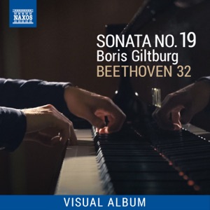 Beethoven 32: Sonata No. 19 (Visual Album)