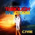 Through The Storm