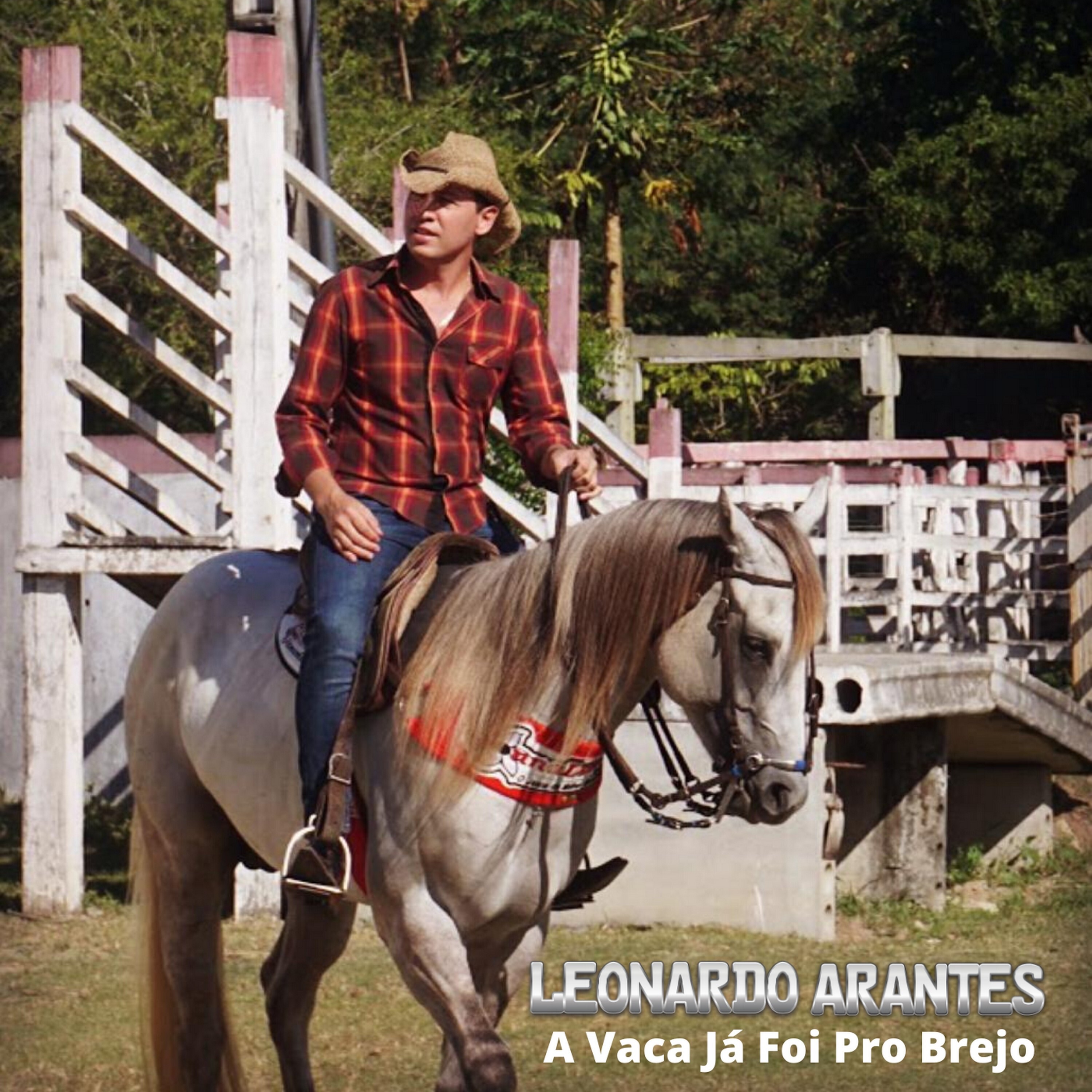 A Vaca Já Foi pro Brejo - Single