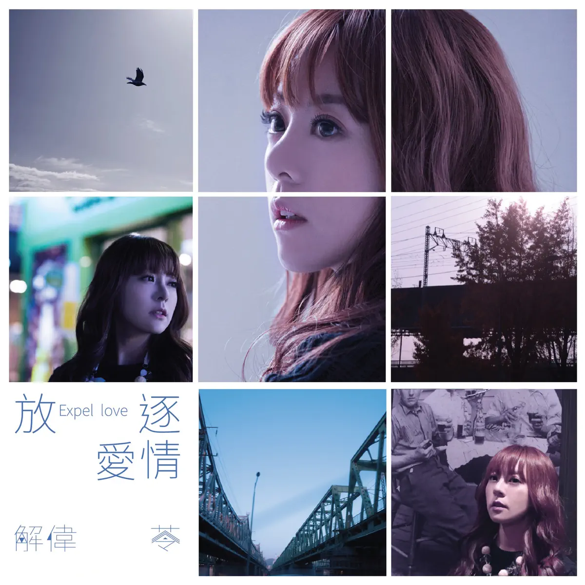 解偉苓 - 放逐愛情 (2014) [iTunes Plus AAC M4A]-新房子