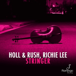 Stringer - Single