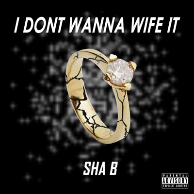 I Don't Wanna Wife IT - Single