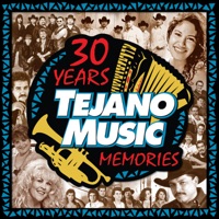 30 Years of Tejano Music Memories - Various Artists