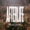 Afterlife - Single