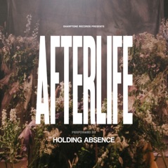 Afterlife - Single