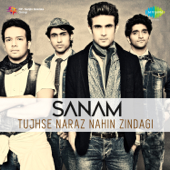 Tujhse Naraz Nahi Zindagi - SANAM