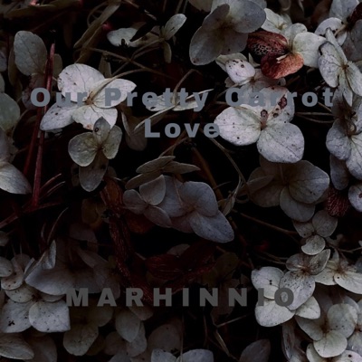 Our Pretty Carrot Love - Single