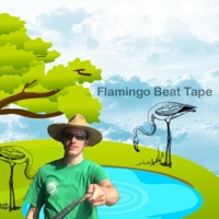 Flamingo Beat Tape - Single - Jameson Hunt