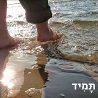 תמיד - Single - Deddy