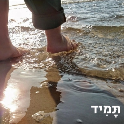 תמיד - Single