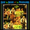 Sam the Sham & The Pharaohs