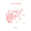 Loving Caliber - Don't You Wanna Stay (feat. Ellen Hagerius)