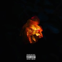 My Roses. - Single - GxneTilNxvember